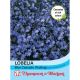Lobelia (Trailing) Blue Cascade