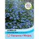 Lobelia Cambridge Blue