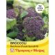 Broccoli Sprouting Early Purple Red Arrow