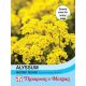 Alyssum Saxatile Golden Queen
