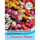 Mesembryanthemum Magic Carpet Mixed
