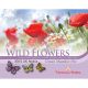 Wild Flower Seeds Classic Meadow