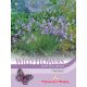 Wild Flower Seeds Harebell