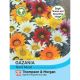 Gazania Talent Mixed