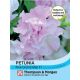 Petunia Cascade Pink Orchid Mist F1 Hybrid