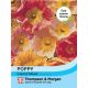 Poppy Iceland Mixed