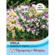 Viola Sweeties