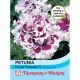 Petunia Purple Pirouette F1 Hybrid