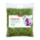 Fresh Sphagnum Moss for Hanging Baskets - Standard