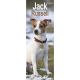 Jack Russell 2025 Slim Calendar