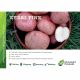 2kg Kerr's Pink Seed Potatoes