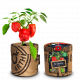 Baza Kitchen Garden - Paprika Bell Pepper