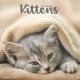 Kittens 2024 Wall Calendar