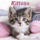 Kittens 2025 Wall Calendar