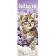 Kittens 2025 Slim Calendar