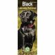 Black Labrador Retriever 2023 Slim Calendar