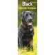 Black Labrador Retriever 2024 Slim Calendar