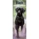 Black Labrador Retriever 2025 Slim Calendar
