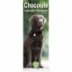 Chocolate Labrador Retriever 2023 Slim Calendar