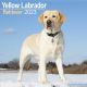 Yellow Labrador Retriever 2023 Wall Calendar