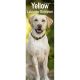 Yellow Labrador 2024 Slim Calendar