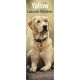 Yellow Labrador 2025 Slim Calendar