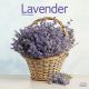 Lavender 2024 Wall Calendar