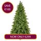 7.5ft Lawrence Fir 'Feel Real' Christmas Tree