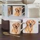 Man's Best Friend Golden Lab Mug & Coaster Set