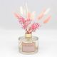 Desire Pampas Diffuser - Rose & Magnolia
