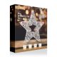 45cm Twinkling Silver Star with 750 White LED Lights