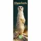 Meerkats 2023 Slim Calendar