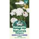 Nature's Helpers Yarrow