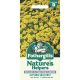 Nature's Helpers Alyssum Gold Dust