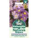 Nature's Helpers Aster (Michaelmas Daisy) Mix