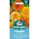 Calendula Art Shades