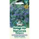 Nature's Helpers Echium Blue Bedder