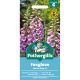 Foxglove Warm Rose F1