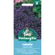 Lobelia Crystal Palace