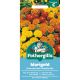 Marigold (French) Dwarf Double Mix