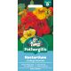 Nasturtium (Trailing) Gleam Mix