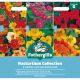 Nasturtium Collection