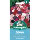 Petunia Mr Fothergill's Multiflora Mix F1