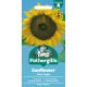 Sunflower Giant Single