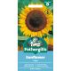 Sunflower Taiyo