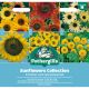 Sunflowers Collection