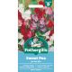 Sweet Pea Jet Set Mix