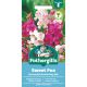 Sweet Pea Perennial Everlasting Mix