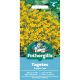 Tagetes Golden Gem