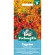 Tagetes Starfire Mix